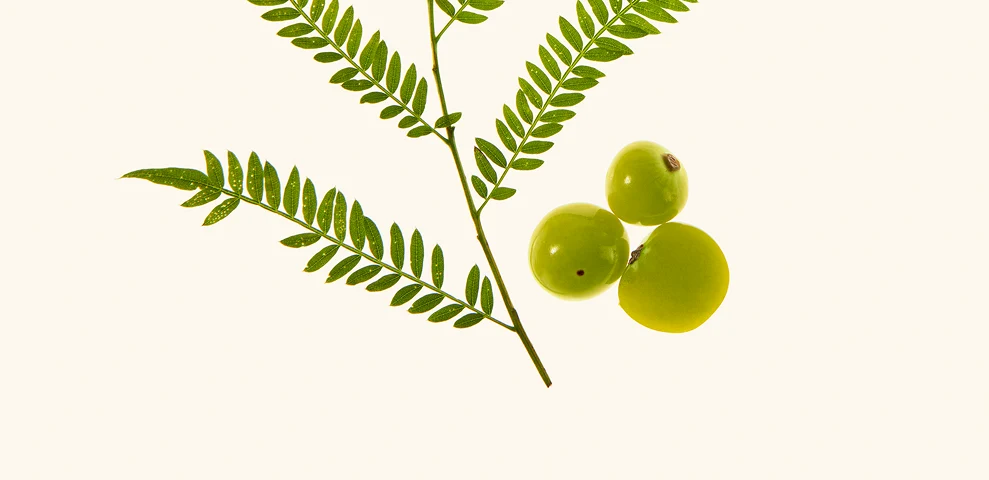 Amla